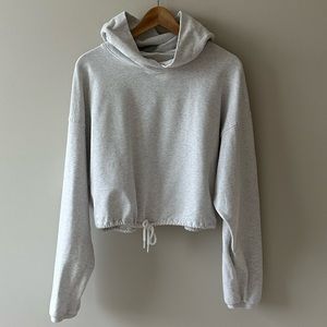 Aritzia The Constant Cropped Hoodie